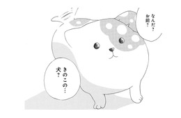 「妖怪？それとも妖精？」きのこの下から現れたのは、犬みたいな謎の生き物だった【きのこいぬ #２】