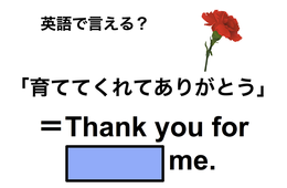 英語で「育ててくれてありがとう」は何て言う？