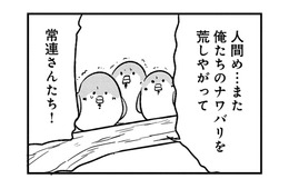 「縄張りを荒らしたな」掃除が気に入らない常連スズメたちが、店の中で大暴れ！【とりきっさ！ #10】