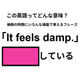 この英語ってどんな意味？「It feels damp. 」