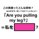 この英語ってどんな意味？「Are you pulling my leg?」