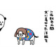 秋冬は犬に洋服を着せていたけど、最近は裸　久しぶりすぎて、ついとっちゃう行動は？【パンダと犬 ＃33】