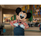 【海外ディズニー】ミッキーがごあいさつ！エプコットの人気レストランを体験　フロリダ WDW