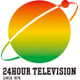 「24時間テレビ48」Pが明かす目的別募金の実施理由「一昨年着服の件もございましたので」2024年寄付金の使途は？