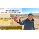 大阪市立自然史博物館「化石を楽しむ2025」10/18-11/16