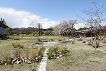 栃木「那須千本松牧場」“自然・食・ふれあい”楽しめる拠点に、リブランディングで魅力増進 画像