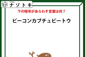 クイズです！「カブトムシで解ける暗号」って何？分かると気持ちいい【難易度LV３.・中辛】 画像