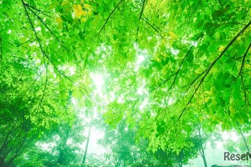 【中学受験】今週末行ける中高一貫「学校説明会」など17校（5/24-25）…東京・千葉・神奈川・埼玉 画像