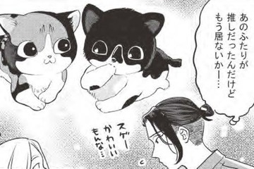 子猫二匹との出会いが運命を変える？…貧乏作曲家、里親へ一歩前進？【借金1000万作曲家の人生を変えてくれた猫の話 #３】 画像