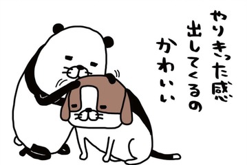 愛犬・梅吉14歳、オスのビーグル犬。トイレで「やりきった感」を出す？【パンダと犬 ＃１】 画像
