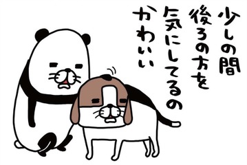 自分がした「おなら」の音にびっくり！愛犬・梅吉が少し後ろを確認してるのは、なぜ？【パンダと犬 ＃７】 画像