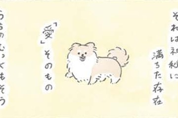 犬の神秘…むっくは胸毛もふわふわ過ぎて「愛」そのものの存在か?!【うちのむっくはいつも楽しそう #９ 】 画像