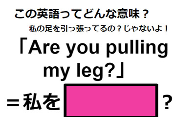 この英語ってどんな意味？「Are you pulling my leg?」 画像