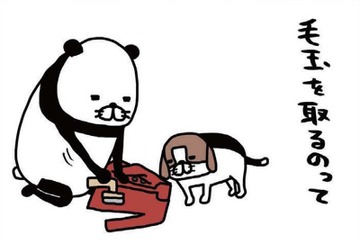 毛取り機でジョリリ～と毛玉除去♪ 愛犬も見守って楽しそう⁉【パンダと犬 ＃25】 画像