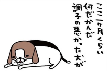 飼い主あるある！「何しに来たっけ？」用事でリビングへ行ったのに、愛犬に夢中で【パンダと犬 ＃28】 画像