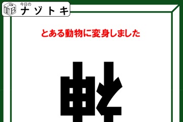 クイズです！「神がある動物に変身！？その動物とは？」漢字の「神」の状況から考えよう【難易度LV３.・中辛】 画像