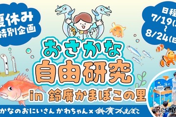 【夏休み2025】おさかな自由研究in鈴廣かまぼこの里 画像