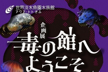 知られざる生態に迫る「毒の館へようこそ」アクア・トト ぎふ企画展 画像