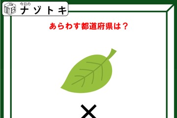 クイズです！「この図があらわす都道府県はどこ？」葉のイラスト×1000の意味を考えましょう【難易度LV２.・甘口】 画像