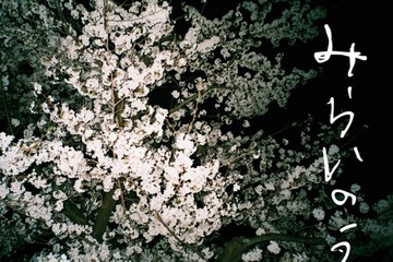 イエモン・吉井和哉に密着したドキュメンタリー『みらいのうた』12月公開 画像