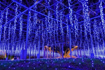 あしかがフラワーパークで人気イルミ「光の花の庭～Flower Fantasy～」500万球超えの輝きに香りの演出プラス 画像