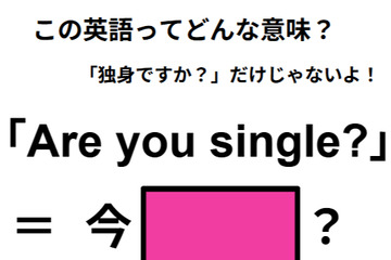 この英語ってどんな意味？「Are you single?」 画像