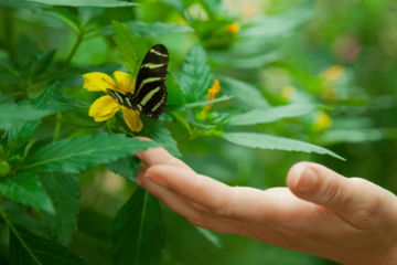 虫が大の苦手な私　洗濯物も外に干せなかったが⇒出産を機に「自分でもびっくり」 画像