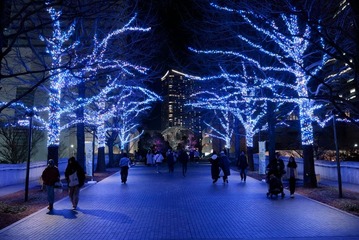 横浜最大級イルミ「ヨコハマミライト2025」街一帯を彩るサスティナブルな光と多彩な連動イベント 画像