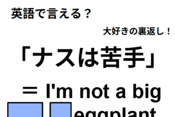 英語で「ナスは苦手」は何て言う？ 画像