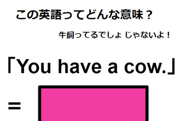 この英語ってどんな意味？「You have a cow.」 画像