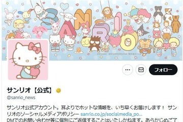 サンリオ「巧妙に装ったなりすましアカウントの存在が確認」注意を呼びかけ【全文】 画像