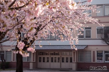 【中学受験2026】今年の人気校は？ねらい目校は？…過去問の売れ行き前年比較で探る注目校＜共学校編・後編＞ 画像