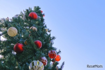 【中学受験】今週末行ける首都圏中高一貫「学校見学」12/20-21…本郷・成城学園など10校 画像