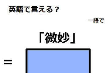 英語で「微妙」は何て言う？ 画像
