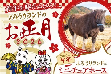 【冬休み2026】午年生まれ・名前「馬」「午」入園無料、よみうりランド1/1-4 画像