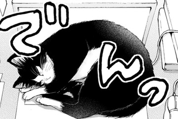 猫と同居しはじめたミステリー作家の青年。パソコンの上を陣取られてエサで釣る作戦を考えるが…【同居人はひざ、時々、頭のうえ。 #11】 画像