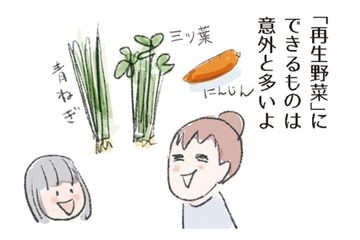 自家製スパイスで料理に彩りを！「再生野菜」は意外と簡単。成功させるコツは？【激せまキッチンで時短！簡単！ムダなしごはん #26】 画像