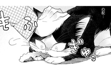 【猫視点】人間がいきなり頭をさわってきた！ みんなこうするのが好きね～【同居人はひざ、時々、頭のうえ。 #32】 画像