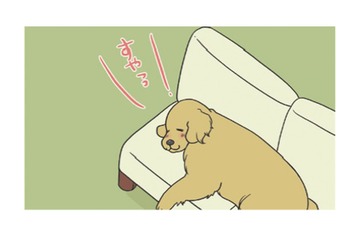 ソファを占領して眠る愛犬…大好きな洗濯物の匂いを確かめてまた夢の中へ？【おさんぽですし！　おしゃべり犬とイライラ猫の日記 #４】 画像