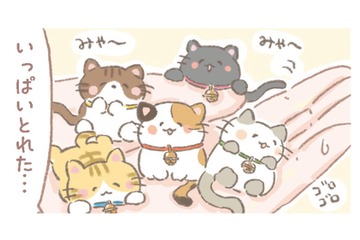 UFOキャッチャーでかわいい猫ちゃんを大量ゲット！しかも生きてる!?【あなたとくらし隊！ちびっ福 #８】 画像