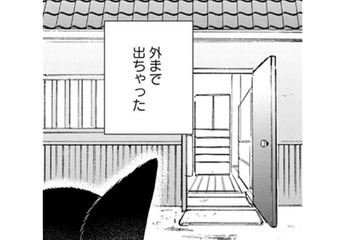 【猫視点】ヤツは消えたけど、今度は苦手な人間が来た！ に、逃げないと!! あれ？ここは外!?【同居人はひざ、時々、頭のうえ。 #43】 画像