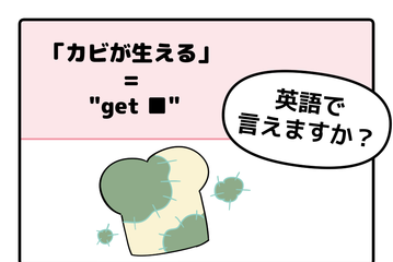 英語で「カビが生える」はなんて言う？【マンガで英会話】 画像