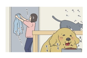 ごはんより安否確認？食事そっちのけで様子を見にくる愛犬がカワイイ【おさんぽですし！　おしゃべり犬とイライラ猫の日記 #10】 画像