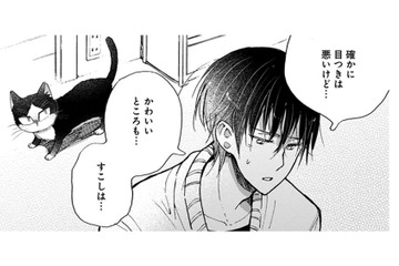 【猫視点】私の役目、わかってるから!! あなたをちゃんと守ってあげるから、安心しなさいよねっ！【同居人はひざ、時々、頭のうえ。 #54】 画像