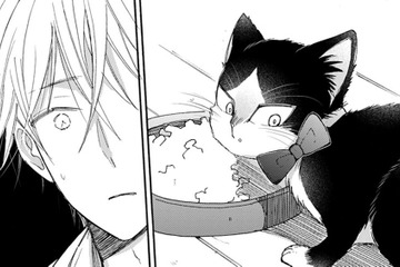 首輪をつけようとすると、かわす猫!! 最後の手段でにエサを食べている途中につけてみると…【同居人はひざ、時々、頭のうえ。 #60】 画像