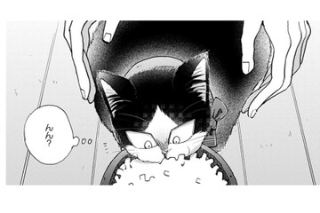 【猫視点】人間が首に何かつけてきた。なんだかやな感じ。だけど安心もする… まあいいか♪【同居人はひざ、時々、頭のうえ。 #62】 画像