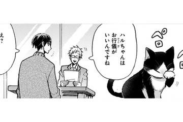 猫と生活していると爪とぎ跡があるはずなのに、見当たらない… どこで爪とぎしているのかな？〈4コマ漫画〉【同居人はひざ、時々、頭のうえ。 #63】 画像