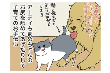 わが家に加わった生後10日くらいの仔猫は女の子。愛犬もせっせと子育てのお手伝い【おさんぽですし！　おしゃべり犬とイライラ猫の日記 #19】 画像