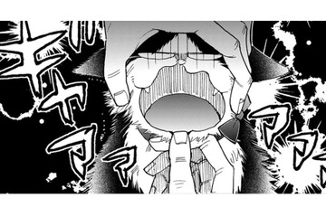 【猫視点】隣の猫も呼ばれて連れて行かれた… 次は私!?　弱みをみせたら負けよ!!【同居人はひざ、時々、頭のうえ。 #70】 画像