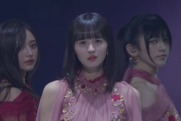 乃木坂46、フェス未配信部分ライブ映像期間限定公開 画像